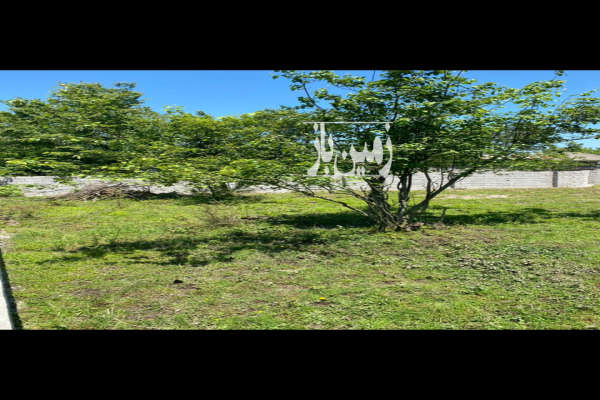 زمینی مسکونی با موقعیت مکانی عالی در رضوانشهر ۲۵۰ متر-4