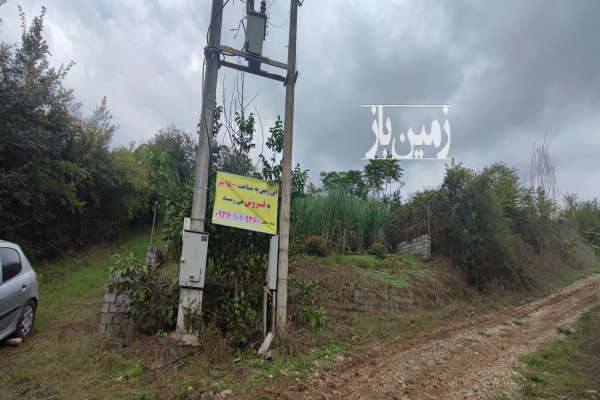 زمین باغ نیشکر ۱۵۰۰ متر قائمشهر روستای ریکنده-3