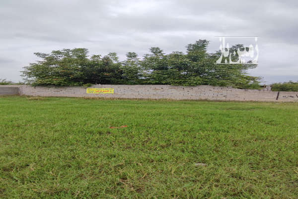 زمین ۲۰۰ متر داخل بافت روستای چمازکتی-1