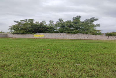 زمین ۲۰۰ متر داخل بافت روستای چمازکتی