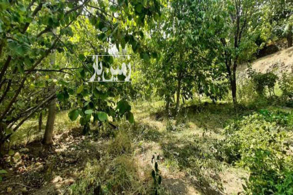 باغ ۱۲۱۳ متر فروشی در بهترین نقطه شهر قاهان-1