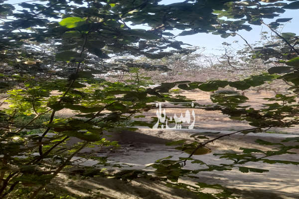 هشتصد متر زمین قابل ساخت باغی تمندگان جنب مادی گرکن-2