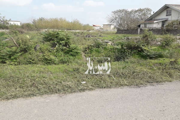 زمین ٤٨٠ متر مسكوني در كياشهر روستاي لسكوكلايه-2