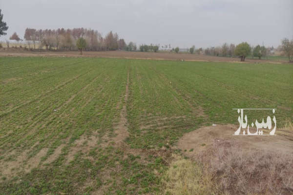 زمین ۴۰۰ هکتار کشاورزی در ورامین-1