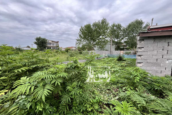 زمين مسكوني رشت گلسار منطقه آلمان ۱۳۶ متر-1