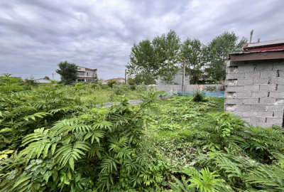 زمين مسكوني رشت گلسار منطقه آلمان ۱۳۶ متر