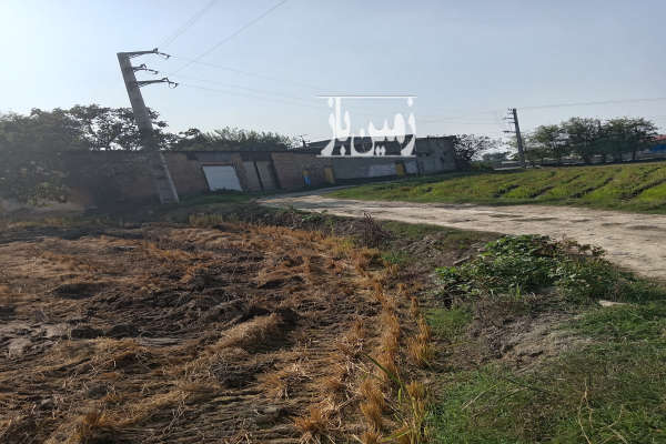 زمین کشاورزی در جاده قائمشهر به جویبار ۸۶۰۰ متر-1