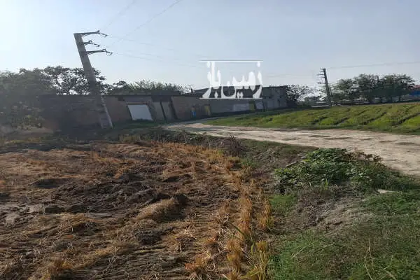 زمین کشاورزی در جاده قائمشهر به جویبار ۸۶۰۰ متر - تصویر 1