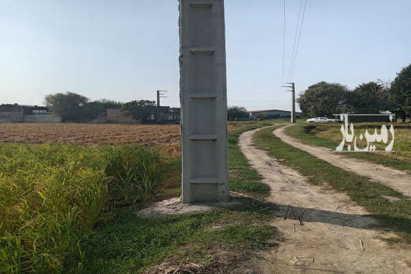 زمین کشاورزی در جاده قائمشهر به جویبار ۸۶۰۰ متر-2