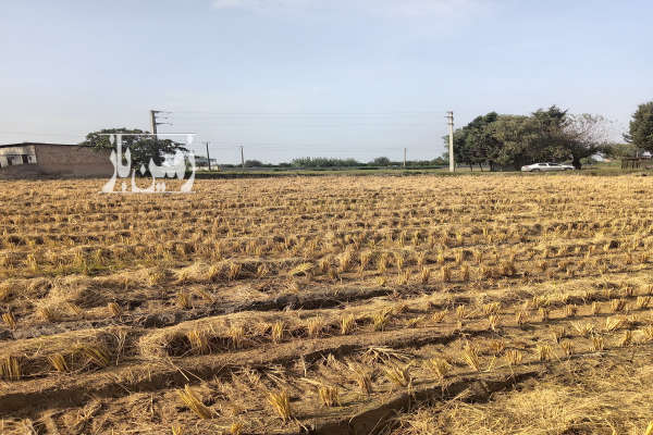 زمین کشاورزی در جاده قائمشهر به جویبار ۸۶۰۰ متر-3