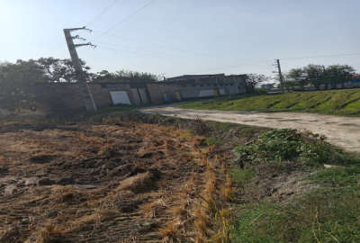 زمین کشاورزی در جاده قائمشهر به جویبار ۸۶۰۰ متر