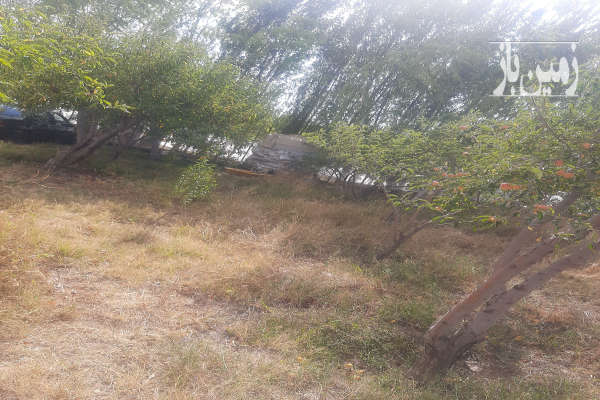 یه قطعه باغ با درختان سیب ۱۰۰۰متری در اهر-1