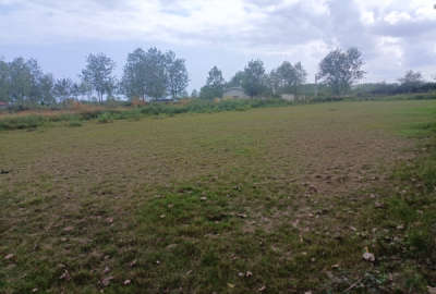 زمین باغی در طرح هادی روستای ساکده ۲۱۰۰ متر