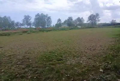 زمین باغی در طرح هادی روستای ساکده ۲۱۰۰ متر
