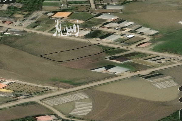 زمین کشاورزی لب جاده اصلی ۹۸۵ متری مناسب ساخت ساز-1