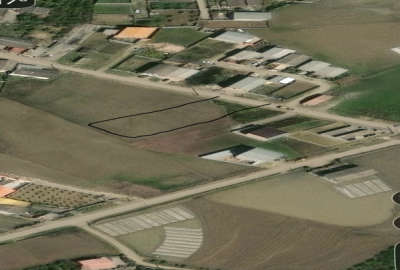 زمین کشاورزی لب جاده اصلی ۹۸۵ متری مناسب ساخت ساز