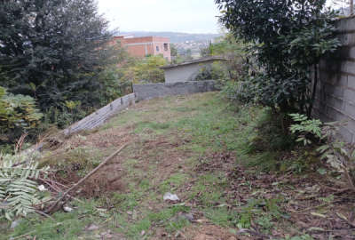 زمین مسکونی در ساری شهر پایین هولار ۳۴۰ متر