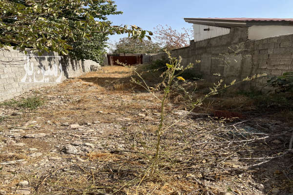 فروش باغ ۱۰۰۰متری در کوهسار مزرعه قولوس-2