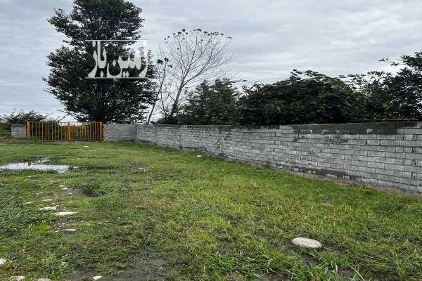 باغ نارنگی ۴۰۰۰ متر امامرود روستای کریم اباد-2