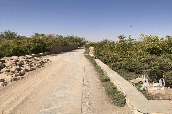 باغ انار شاهدیه ابرنداباد یزد دارای اب مالکیت ۳۰۰ متر-3