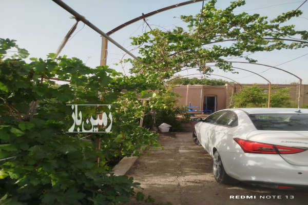 باغ داخل بافت ورامین روستای هفت جوبه ۹۰۰ متر-4