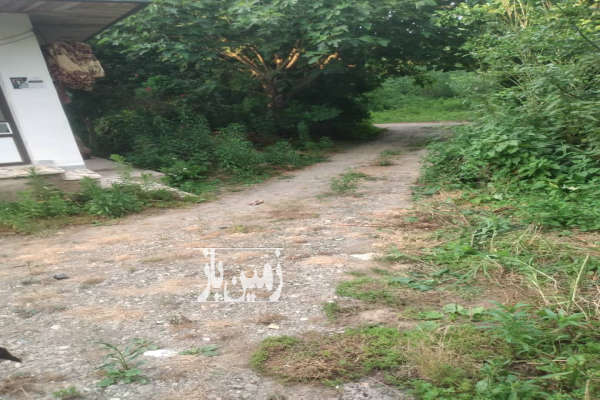 زمین مسکونی و باغات یک هکتار صومعه سرا اباتر فتمه سر-2