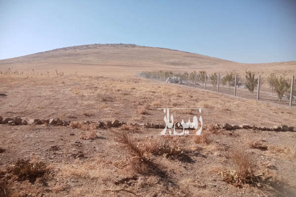 زمین خانه باغ در روستای ترکمان کندی ۱۵۰۰ متر-4