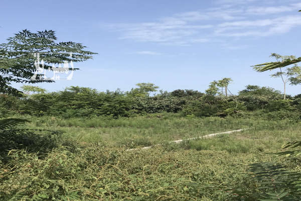 زمین واقع در تکی تاز اباد هشتپر تالش ۴۰۰ متر-1