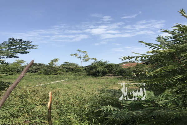 زمین واقع در تکی تاز اباد هشتپر تالش ۴۰۰ متر-3