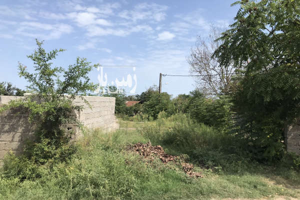 زمین واقع در تکی تاز اباد هشتپر تالش ۴۰۰ متر-4