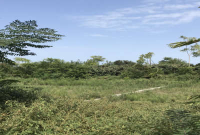 زمین واقع در تکی تاز اباد هشتپر تالش ۴۰۰ متر