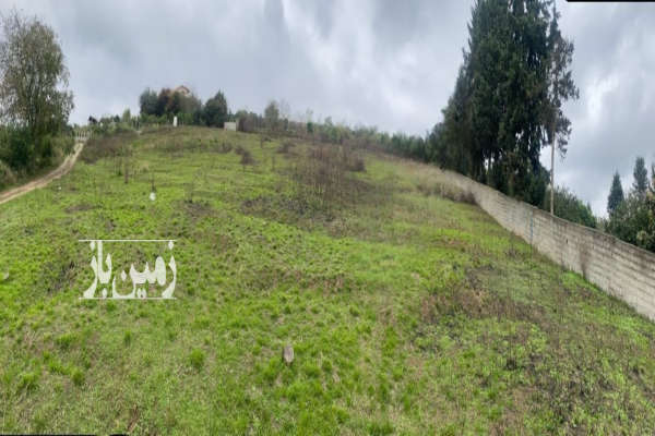 زمین تنگه لته ساری هم تفکیکی و هم یکجا ۶۵۰ متر-4