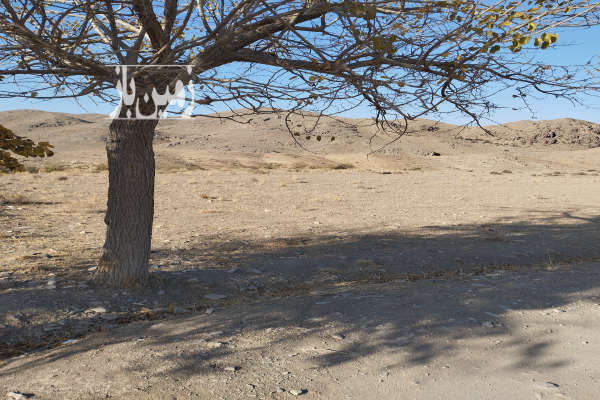 زمین ۵۰۰ متر جهت احداث باغ در خلجستان روستای حسن آباد-2