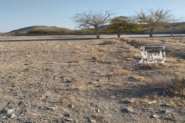 زمین ۵۰۰ متر جهت احداث باغ در خلجستان روستای حسن آباد-4