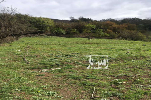 زمین ییلاقی ۲۴۸۷ متری در مرکز روستای ارده-4