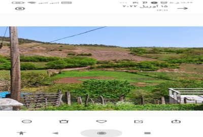 زمین ییلاقی ۲۴۸۷ متری در مرکز روستای ارده