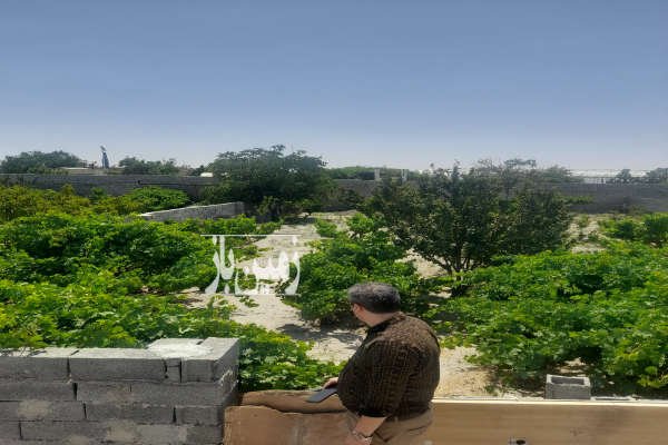 زمین چهاردیواری ۵۰۰ متر واقع در رنگرز فرارت-4