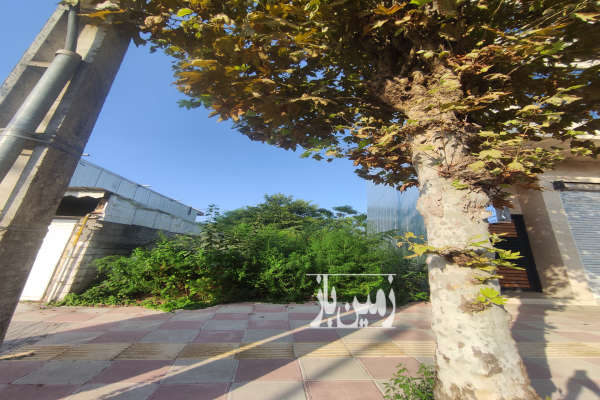 زمین تجاری مسکونی بر خیابان سردار جنگل ۷۰ متر-3