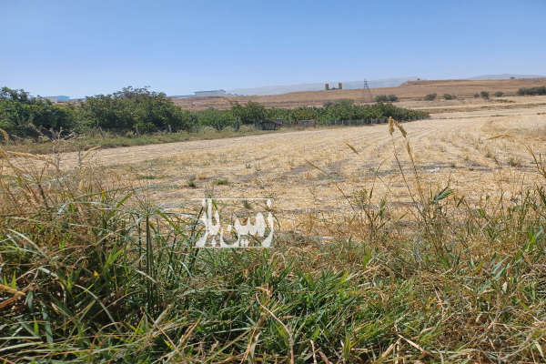 زمین کشاورزی دورود روستای چغادون ۴۰۰۰ متر-2