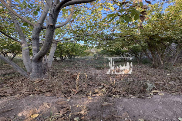 باغ ۱۸۶۳ متری در کهک با استخر-1