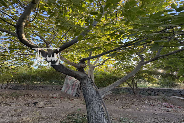 باغ ۱۸۶۳ متری در کهک با استخر-2