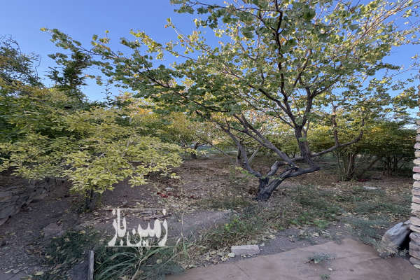 باغ ۱۸۶۳ متری در کهک با استخر-4