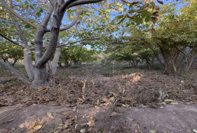 باغ ۱۸۶۳ متری در کهک با استخر