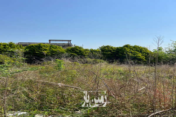 زمین جاده ابکله سر کوچک به خرم اباد اکبراباد ۳۲۰ متر-4