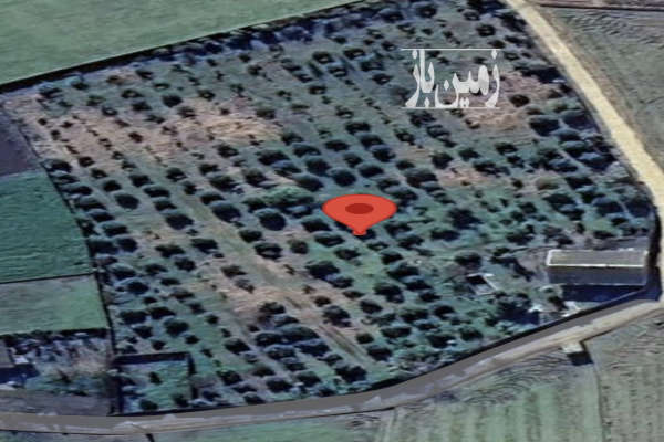 باغ ویلایی محصولات باغ در جاده ساری ۸۰۰۰ متر-2