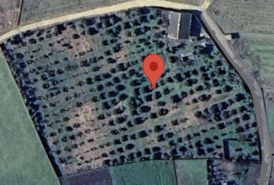 باغ ویلایی محصولات باغ در جاده ساری ۸۰۰۰ متر