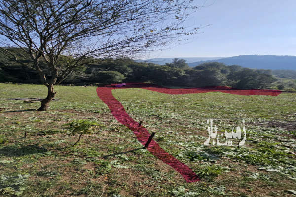 زمین بافت مسکونی ویو ابدی زیراب روستای امیرکلا ۳۶۰ متر-2