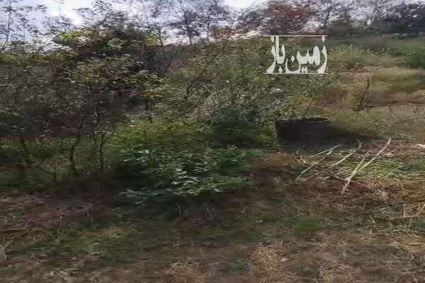 زمین مسکونی آهندان روستای ازارستانکی-2