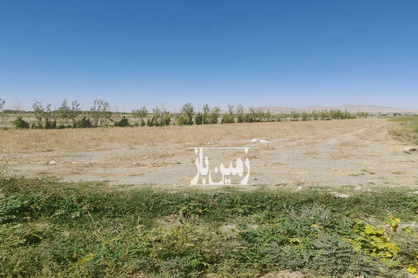 زمین کشاورزی ۲۰۰۰متر بر جاده-1