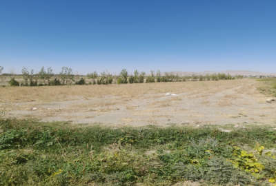 زمین کشاورزی ۲۰۰۰متر بر جاده